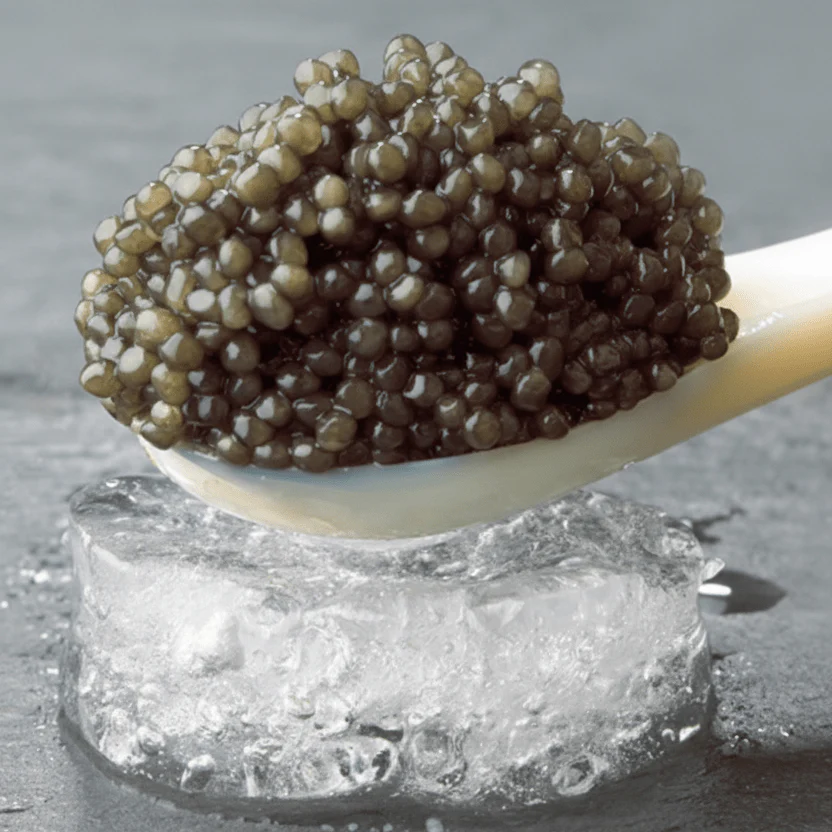 Caviar Sevruga - Image 4