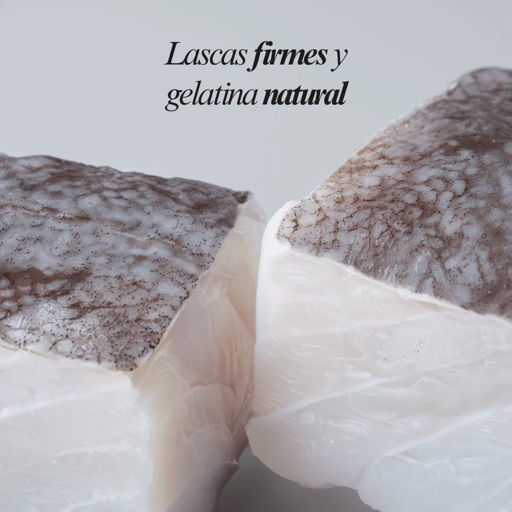 Morro Extra de Bacalao Desalado Limpio (2ud) - 500g - Image 5